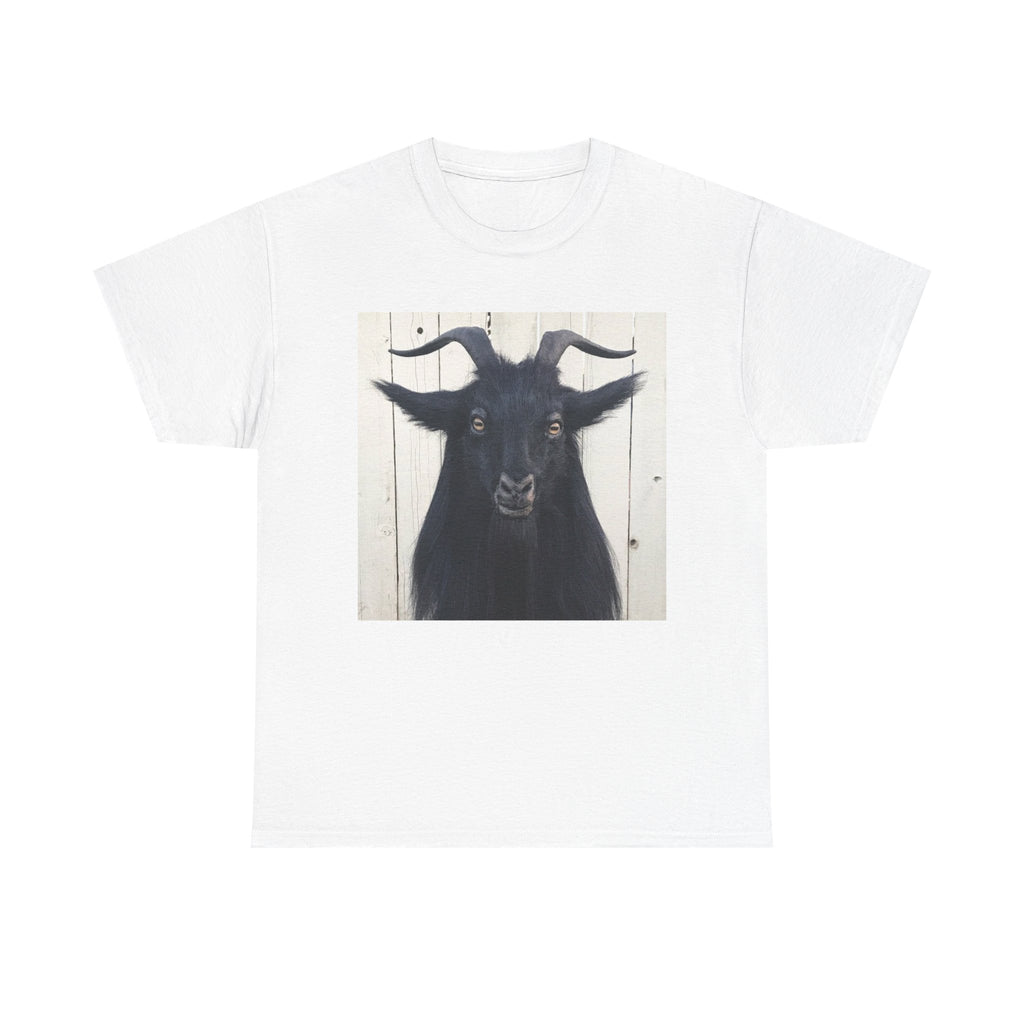 "BAPH" TEE