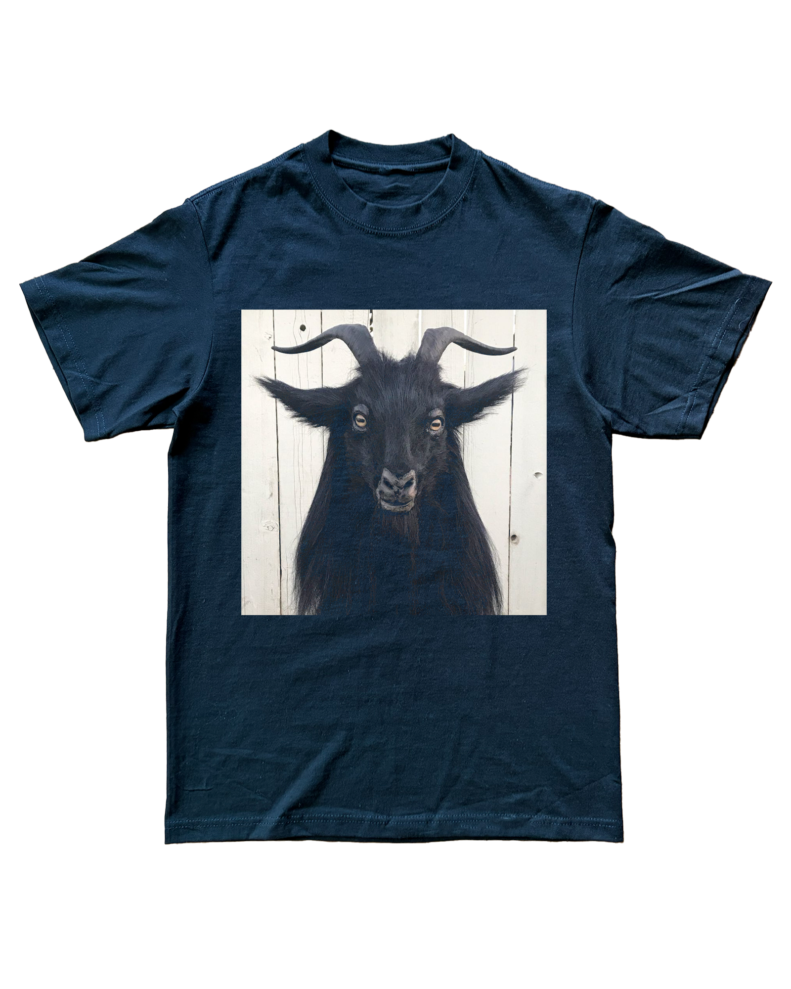 "BAPH" TEE